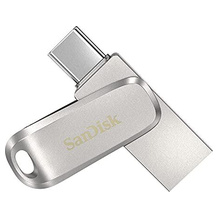 SanDisk SDDDC4-256G-G46